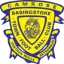 Basingstoke Town