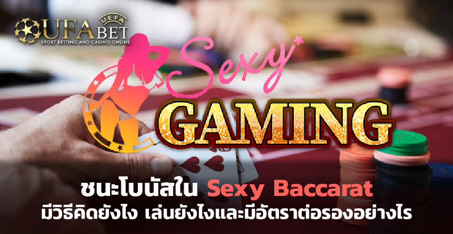 ชนะโบนัสใน Sexy Baccarat คิดยังไง เล่นยังไง และมีอัตราต่อรองอย่างไร