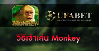 วิธีการเข้าเล่น สล็อต - Monkey