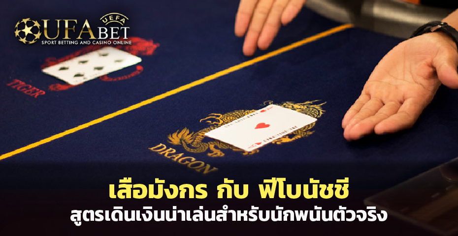 เสือมังกร กับ ฟีโบนัชชี สูตรเดินเงินน่าเล่นสำหรับนักพนันตัวจริง